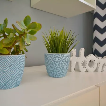 Dzien Dobry ואלבריץ'